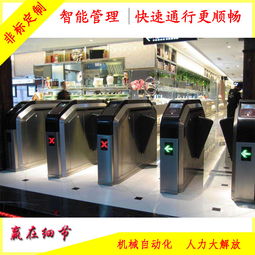 山东莱西游乐场及即墨、城阳、平度工地智能人行通道系统软件开发